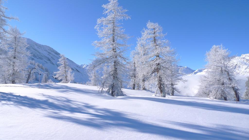 Berggasthaus Wasenalp Бриг Экстерьер фото